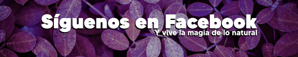 Magic Hair Colombia Store