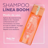Shampoo Boom Reparación