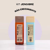 Shampoo y Acondicionador Jengibre